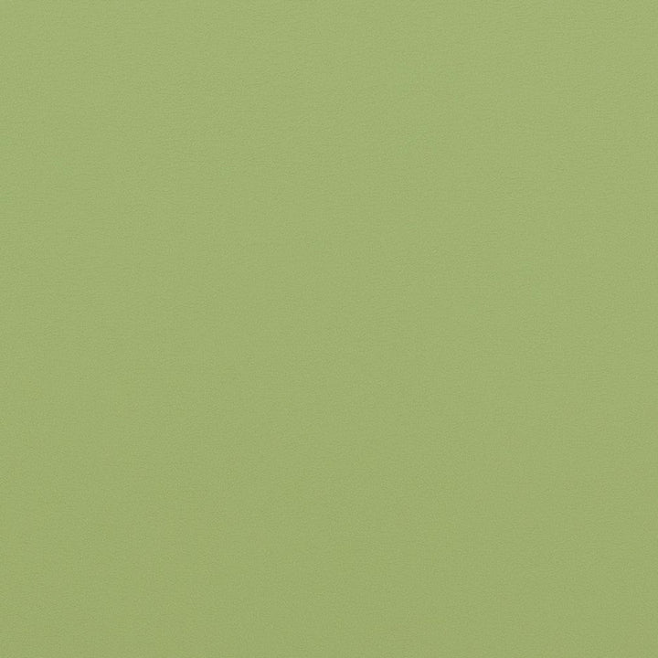 V307 Meadow by Charlotte Designer Fabric Contract Vinyl 100% Virgin Vinyl, 34oz. Costa Rica Exceeds 200,000 Wyzenbeek Rubs (Heavy Duty) No Repeat 54 Inches - Swanky Fabrics -