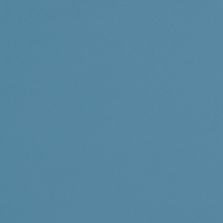 V309 Sky by Charlotte Designer Fabric Contract Vinyl 100% Virgin Vinyl, 34oz. Costa Rica Exceeds 200,000 Wyzenbeek Rubs (Heavy Duty) No Repeat 54 Inches - Swanky Fabrics -