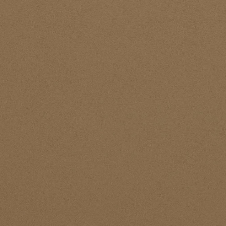V310 Latte by Charlotte Designer Fabric Contract Vinyl 100% Virgin Vinyl, 34oz. Costa Rica Exceeds 200,000 Wyzenbeek Rubs (Heavy Duty) No Repeat 54 Inches - Swanky Fabrics -