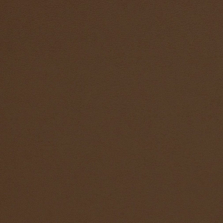V313 Mocha by Charlotte Designer Fabric Contract Vinyl 100% Vinyl, 34oz. Costa Rica Exceeds 200,000 Wyzenbeek Rubs (Heavy Duty) </p><p>Repeat: 54 Inches - Swanky Fabrics -