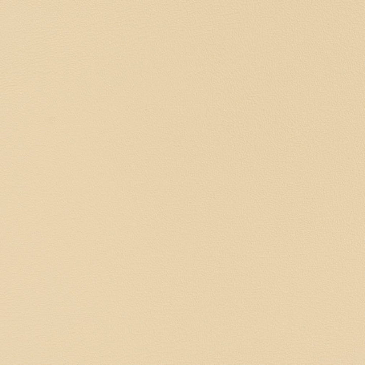 V333 Cream by Charlotte Designer Fabric Automotive Vinyl 100% Vinyl, 30oz. Asia Exceeds 220,000 Wyzenbeek Rubs (Heavy Duty) </p><p>Repeat: 54 Inches - Swanky Fabrics -