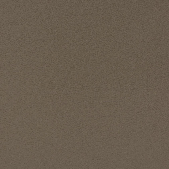 V338 Mink by Charlotte Designer Fabric Automotive Vinyl 100% Vinyl, 30oz. Asia Exceeds 220,000 Wyzenbeek Rubs (Heavy Duty) </p><p>Repeat: 54 Inches - Swanky Fabrics -