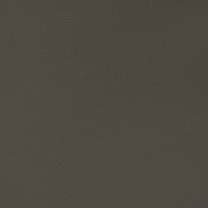 Charlotte Fabric V339 Flint