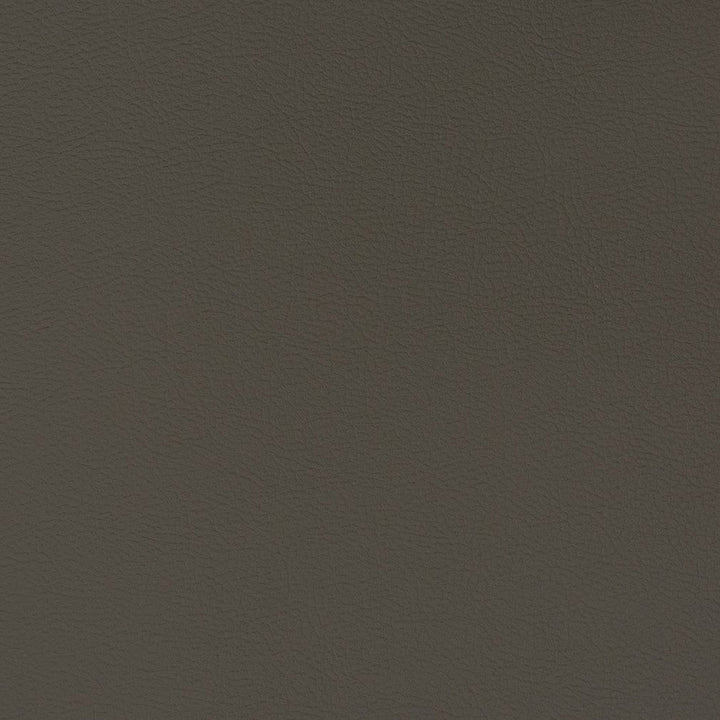 V339 Flint by Charlotte Designer Fabric Automotive Vinyl 100% Virgin Vinyl, 30oz. Asia Exceeds 220,000 Wyzenbeek Rubs (Heavy Duty) No Repeat 54 Inches - Swanky Fabrics -