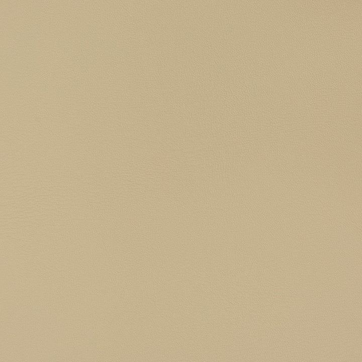 V340 Neutral by Charlotte Designer Fabric Automotive Vinyl 100% Vinyl, 30oz. Asia Exceeds 220,000 Wyzenbeek Rubs (Heavy Duty) </p><p>Repeat: 54 Inches - Swanky Fabrics -
