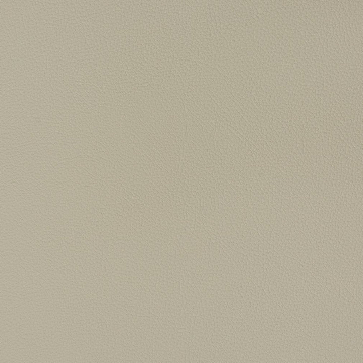 V341 Chrome by Charlotte Designer Fabric Automotive Vinyl 100% Vinyl, 30oz. Asia Exceeds 220,000 Wyzenbeek Rubs (Heavy Duty) </p><p>Repeat: 54 Inches - Swanky Fabrics -