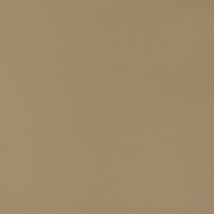 V344 Cappuccino by Charlotte Designer Fabric Automotive Vinyl 100% Vinyl, 30oz. Asia Exceeds 220,000 Wyzenbeek Rubs (Heavy Duty) </p><p>Repeat: 54 Inches - Swanky Fabrics -