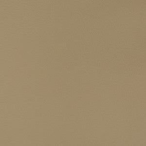 Charlotte Fabric V344 Cappuccino