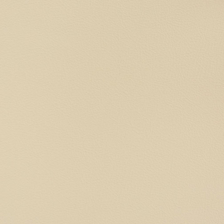 V346 Sand Dollar by Charlotte Designer Fabric Automotive Vinyl 100% Virgin Vinyl, 30oz. Asia Exceeds 220,000 Wyzenbeek Rubs (Heavy Duty) No Repeat 54 Inches - Swanky Fabrics -