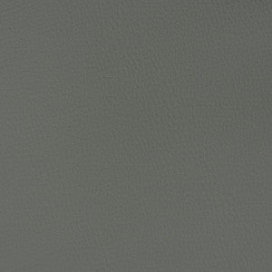 Charlotte Fabric V362 Graphite