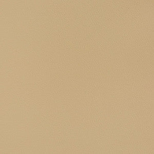 Charlotte Fabric V363 Cashmere