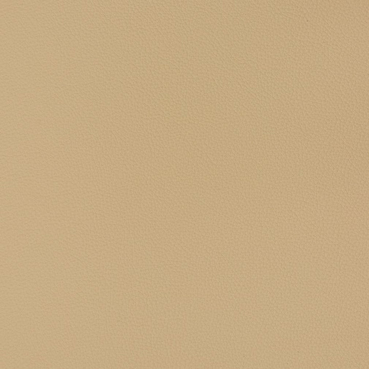 V363 Cashmere by Charlotte Designer Fabric Automotive Vinyl 100% Virgin Vinyl, 30oz. Asia Exceeds 220,000 Wyzenbeek Rubs (Heavy Duty) No Repeat 54 Inches - Swanky Fabrics -
