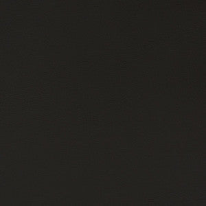 Charlotte Fabric V364 Raven