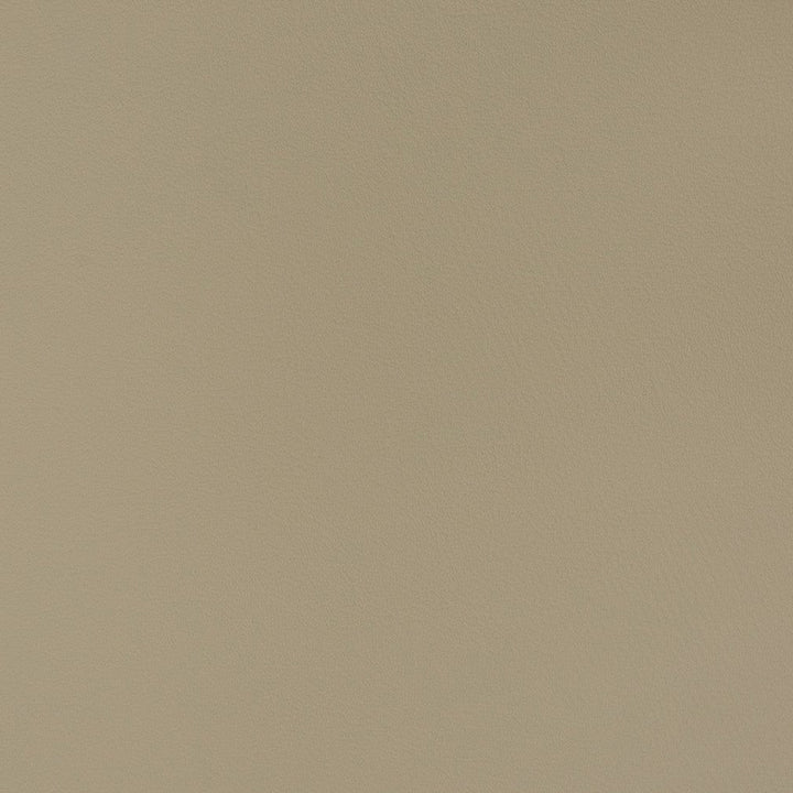 V365 Smoke by Charlotte Designer Fabric Automotive Vinyl 100% Virgin Vinyl, 30oz. Asia Exceeds 220,000 Wyzenbeek Rubs (Heavy Duty) No Repeat 54 Inches - Swanky Fabrics -