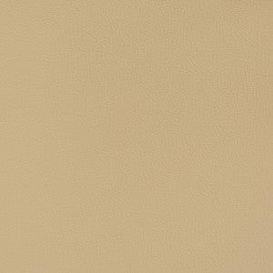 Charlotte Fabric V368 Barley