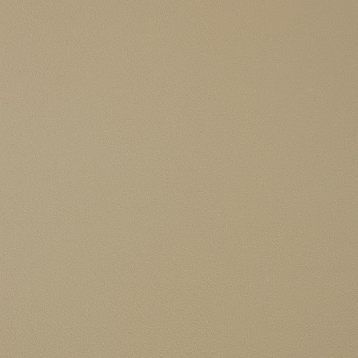 V372 Bisque by Charlotte Designer Fabric Automotive Vinyl 100% Vinyl, 30oz. Asia Exceeds 220,000 Wyzenbeek Rubs (Heavy Duty) </p><p>Repeat: 54 Inches - Swanky Fabrics -