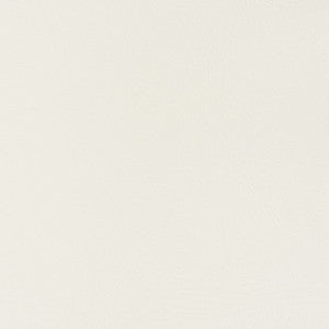 Charlotte Fabric V381 Snow