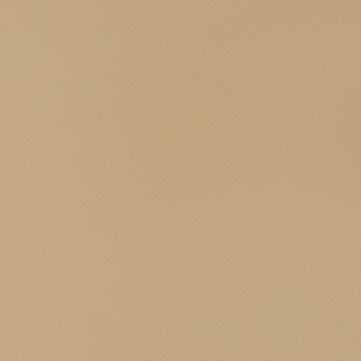 V382 Latte by Charlotte Designer Fabric Automotive Vinyl 100% Vinyl, 30oz. Asia Exceeds 220,000 Wyzenbeek Rubs (Heavy Duty) </p><p>Repeat: 54 Inches - Swanky Fabrics -