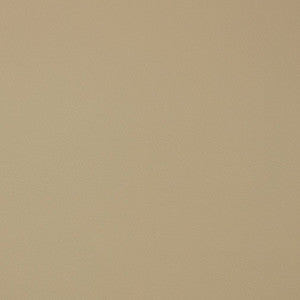 Charlotte Fabric V389 Natural
