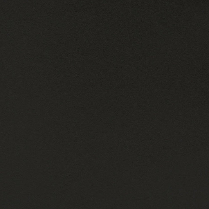 V390 Black by Charlotte Designer Fabric Automotive Vinyl 100% Virgin Vinyl, 30oz. Asia Exceeds 220,000 Wyzenbeek Rubs (Heavy Duty) No Repeat 54 Inches - Swanky Fabrics -