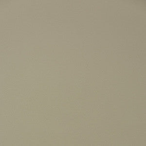 Charlotte Fabric V391 Putty