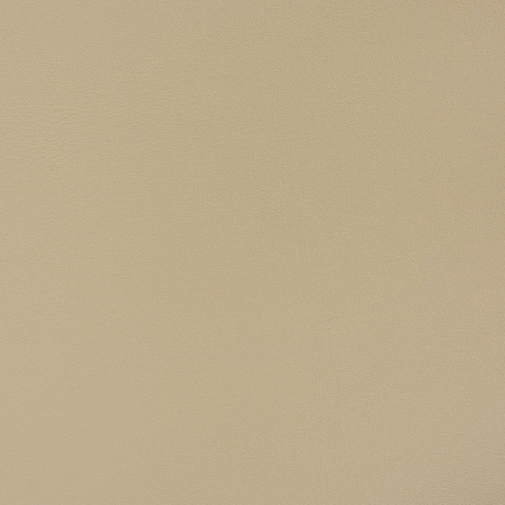 V393 Taupe by Charlotte Designer Fabric Automotive Vinyl 100% Vinyl, 30oz. Asia Exceeds 220,000 Wyzenbeek Rubs (Heavy Duty) </p><p>Repeat: 54 Inches - Swanky Fabrics -