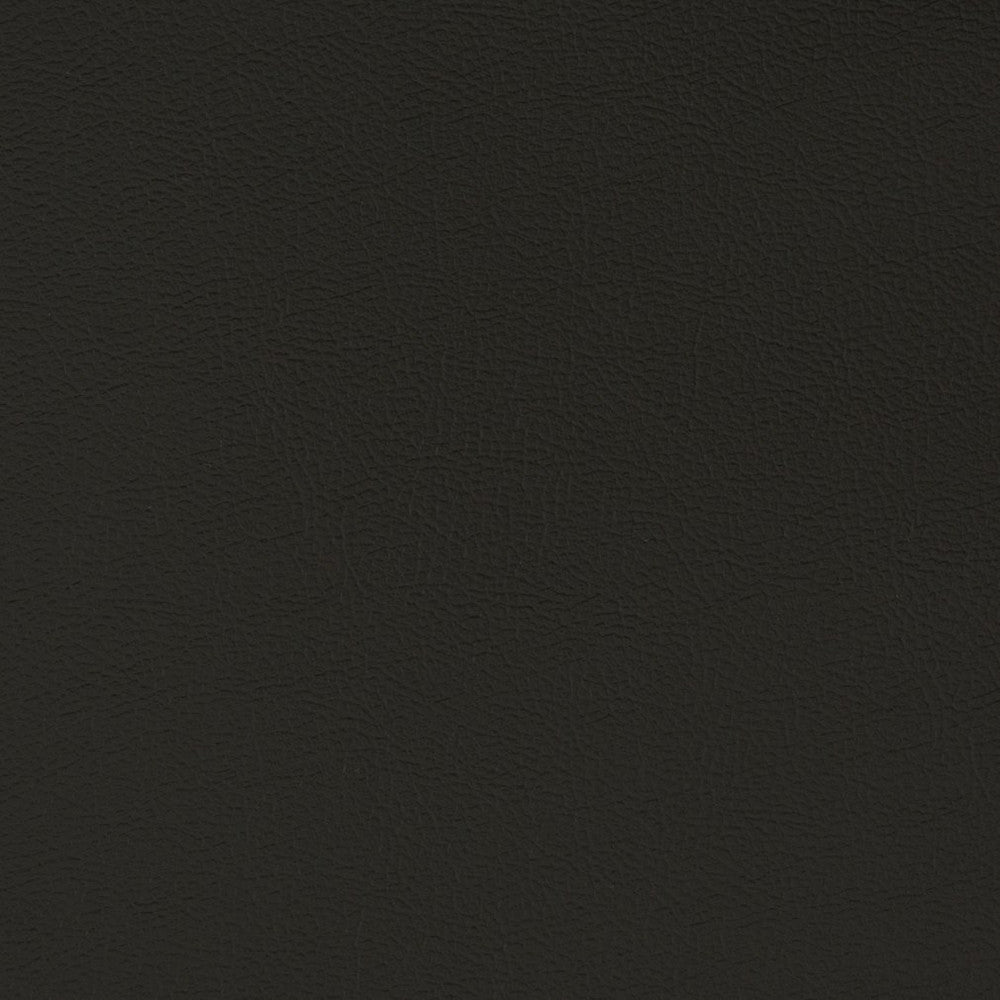 V395 Ebony by Charlotte Designer Fabric Automotive Vinyl 100% Vinyl, 30oz. Asia Exceeds 220,000 Wyzenbeek Rubs (Heavy Duty) </p><p>Repeat: 54 Inches - Swanky Fabrics -