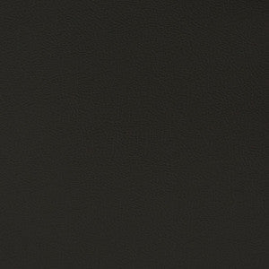 Charlotte Fabric V395 Ebony