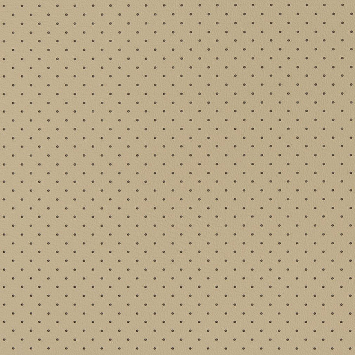 V404 Sandstone Perforated by Charlotte Designer Fabric Automotive Vinyl 100% Vinyl, 30oz. Asia Exceeds 220,000 Wyzenbeek Rubs (Heavy Duty) </p><p>Repeat: 54 Inches - Swanky Fabrics -