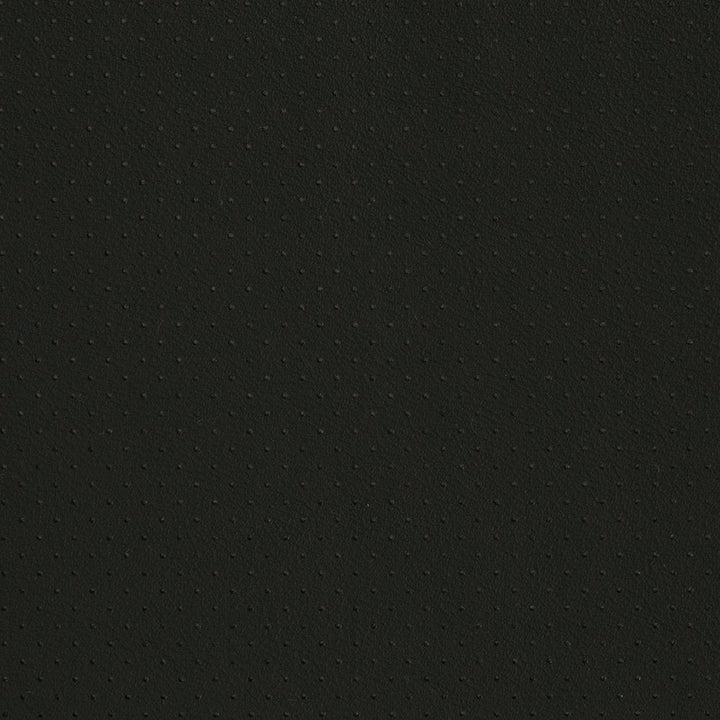 V406 Black Perforated by Charlotte Designer Fabric Automotive Vinyl 100% Virgin Vinyl, 30oz. Asia Exceeds 220,000 Wyzenbeek Rubs (Heavy Duty) No Repeat 54 Inches - Swanky Fabrics -