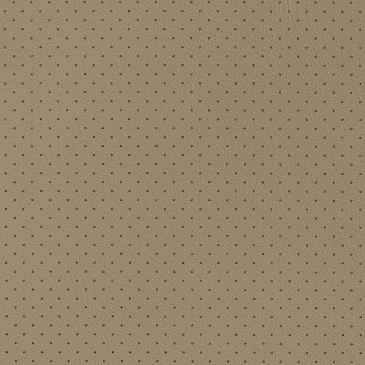 V407 Fawn Perforated by Charlotte Designer Fabric Automotive Vinyl 100% Vinyl, 30oz. Asia Exceeds 220,000 Wyzenbeek Rubs (Heavy Duty) </p><p>Repeat: 54 Inches - Swanky Fabrics -