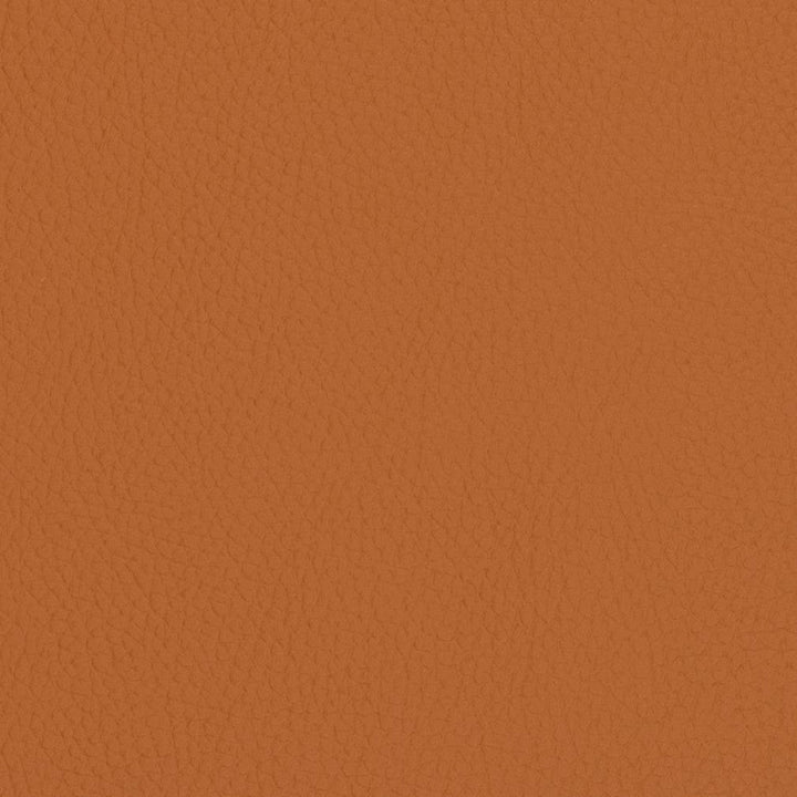 V427 Burnt Sienna by Charlotte Designer Fabric Marine Vinyl 100% Vinyl, 33oz. Asia Exceeds 220,000 Wyzenbeek Rubs (Heavy Duty) </p><p>Repeat: 54 Inches - Swanky Fabrics -
