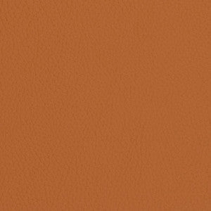 Charlotte Fabric V427 Burnt Sienna