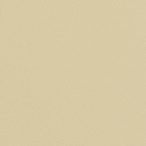 Charlotte Fabric V428 Ivory
