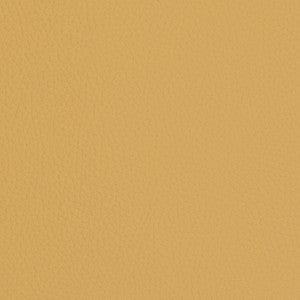 Charlotte Fabric V429 Sand Dollar