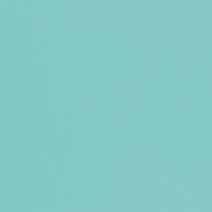 Charlotte Fabric V431 Aqua