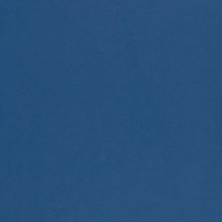 V441 Pacific by Charlotte Designer Fabric Marine Vinyl 100% Virgin Vinyl, 33oz. Asia Exceeds 220,000 Wyzenbeek Rubs (Heavy Duty) No Repeat 54 Inches - Swanky Fabrics -