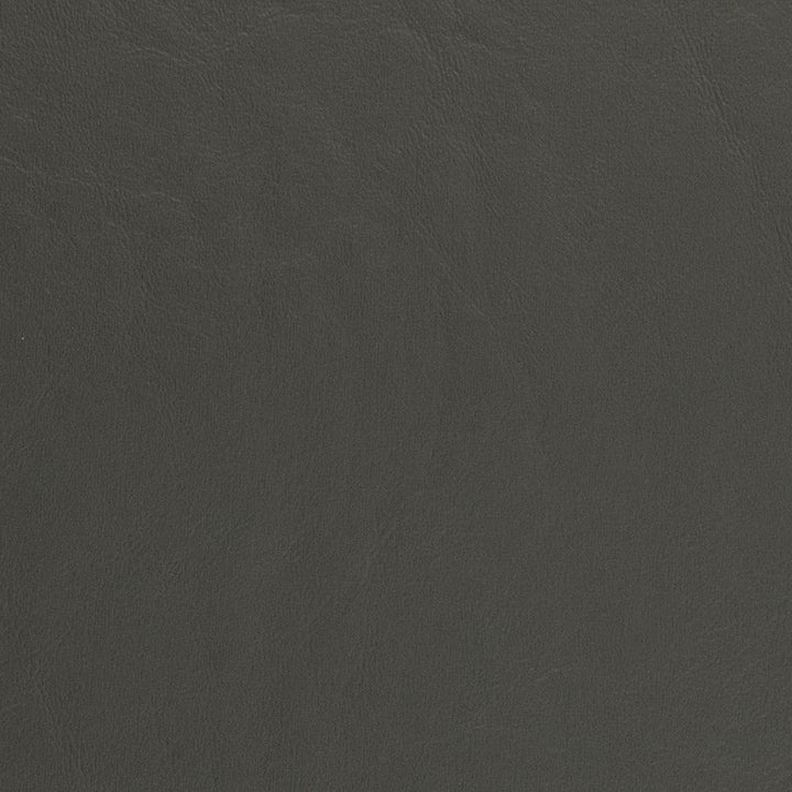 V443 Graphite by Charlotte Designer Fabric Marine Vinyl 100% Virgin Vinyl, 33oz. Asia Exceeds 220,000 Wyzenbeek Rubs (Heavy Duty) No Repeat 54 Inches - Swanky Fabrics -