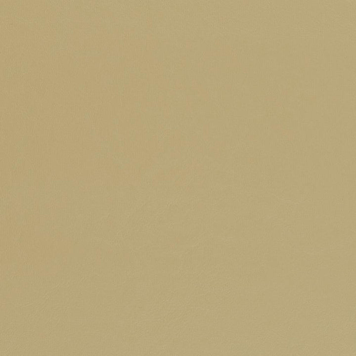 V444 Beach by Charlotte Designer Fabric Marine Vinyl 100% Virgin Vinyl, 33oz. Asia Exceeds 220,000 Wyzenbeek Rubs (Heavy Duty) No Repeat 54 Inches - Swanky Fabrics -