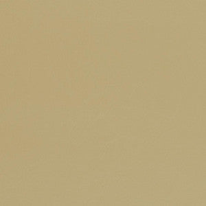Charlotte Fabric V444 Beach