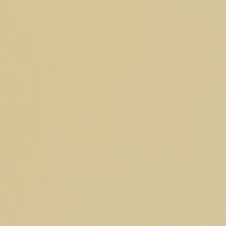 V448 Buff by Charlotte Designer Fabric Marine Vinyl 100% Vinyl, 33oz. Asia Exceeds 220,000 Wyzenbeek Rubs (Heavy Duty) </p><p>Repeat: 54 Inches - Swanky Fabrics -