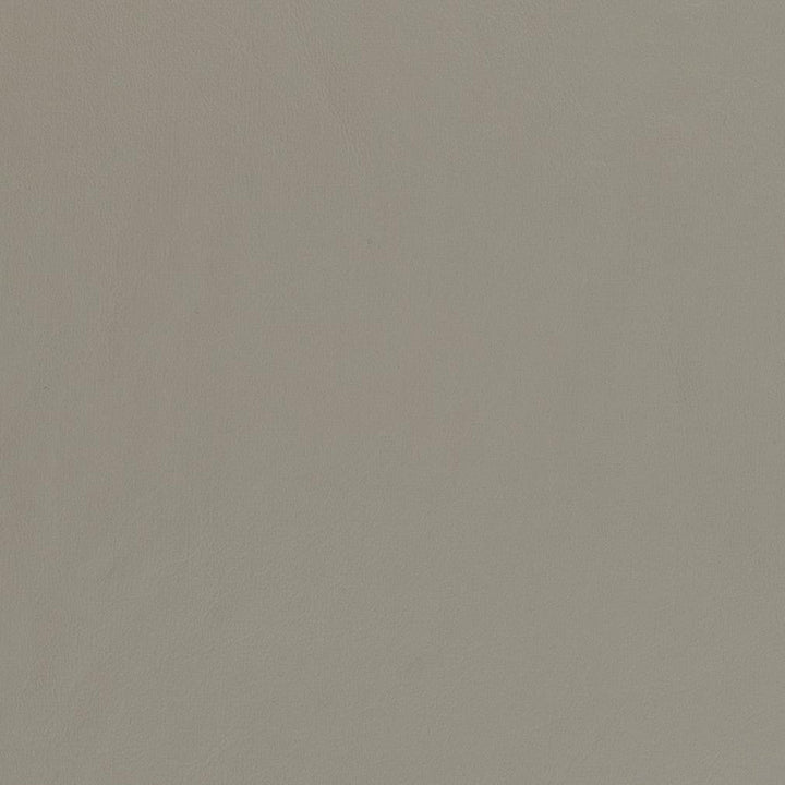 V449 Pewter by Charlotte Designer Fabric Marine Vinyl 100% Virgin Vinyl, 33oz. Asia Exceeds 220,000 Wyzenbeek Rubs (Heavy Duty) No Repeat 54 Inches - Swanky Fabrics -