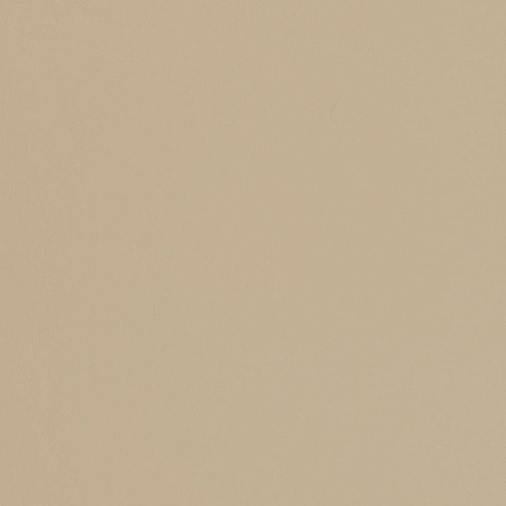 V451 Sandstone by Charlotte Designer Fabric Marine Vinyl 100% Virgin Vinyl, 33oz. Asia Exceeds 220,000 Wyzenbeek Rubs (Heavy Duty) No Repeat 54 Inches - Swanky Fabrics -