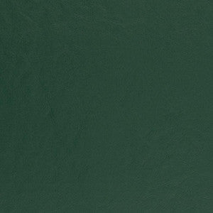 Charlotte Fabric V457 Spruce