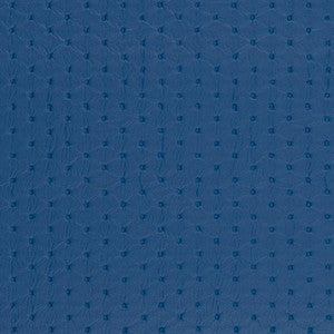 Charlotte Fabric V464 Pacific Diamond