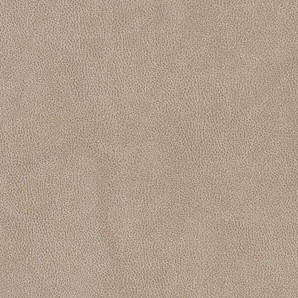 V500 Sandstone by Charlotte Designer Fabric Breathables IV 100% Breathable Polyurethane, 26oz. China Exceeds 250,000 Wyzenbeek Rubs (Heavy Duty) No Repeat 54 Inches - Swanky Fabrics -
