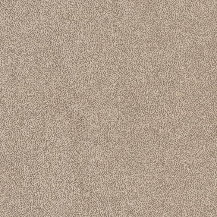 V500 Sandstone by Charlotte Designer Fabric Breathables IV 100% Breathable Polyurethane, 26oz. China Exceeds 250,000 Wyzenbeek Rubs (Heavy Duty) No Repeat 54 Inches - Swanky Fabrics -
