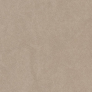 Charlotte Fabric V500 Sandstone