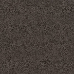 Charlotte Fabric V501 Charcoal