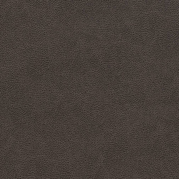 V501 Charcoal by Charlotte Designer Fabric Breathables IV 100% Breathable Polyurethane, 26oz. China Exceeds 250,000 Wyzenbeek Rubs (Heavy Duty) No Repeat 54 Inches - Swanky Fabrics -